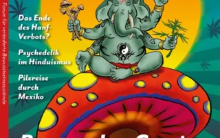 The Lucys Rausch Magazine NR. 16 Cover Comic Art Design from Steve Stoned